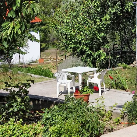 Apartment Apartments With Parking Space Kampor, Rab - 5029 Kampor