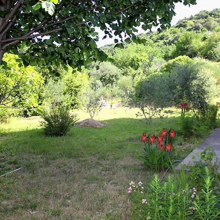 With Parking Space Kampor, Rab - 5029 Appartement Kampor