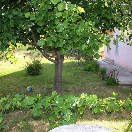 With Parking Space Kampor, Rab - 5029 Apartament