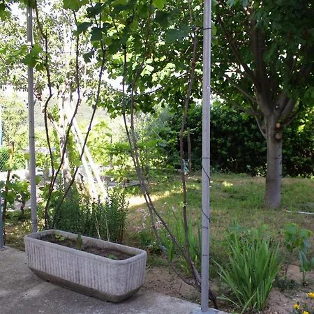 With Parking Space Kampor, Rab - 5029